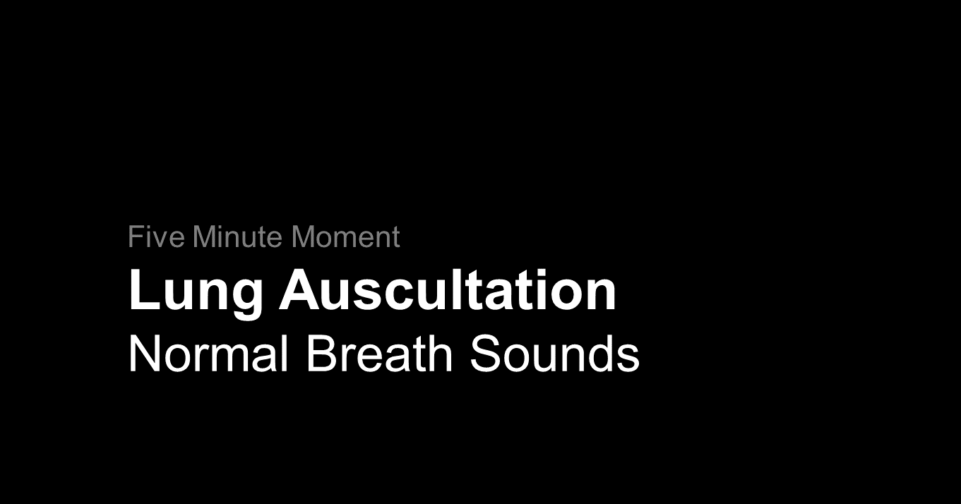 Lung Auscultation Normal Breath Sounds Timotej Vataha